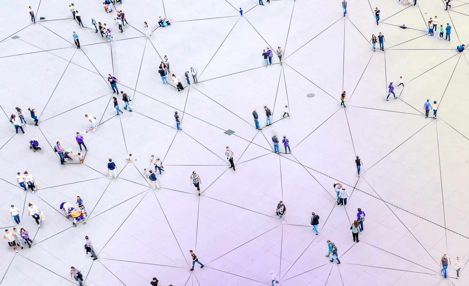 Sieť spoločnosti Viatris vo svete